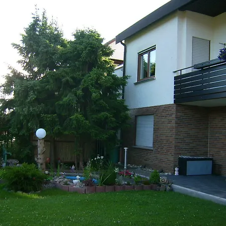 Ferienwohnung Heidelsteinblick Schonau an der Brend Exterior photo