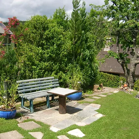 Ferienwohnung Heidelsteinblick Schonau an der Brend Room photo